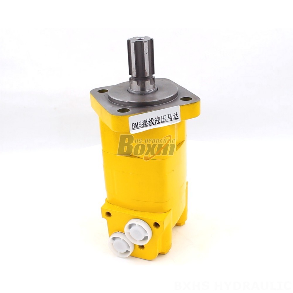 BM5 Cycloid Hydraulic Motor-2 100 cc/r 75 Lpm - Factory Direct main image